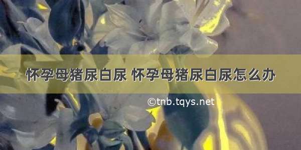 怀孕母猪尿白尿 怀孕母猪尿白尿怎么办