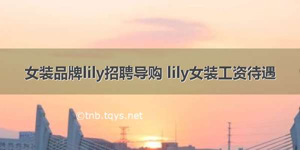 女装品牌lily招聘导购 lily女装工资待遇