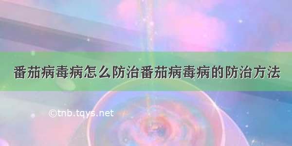 番茄病毒病怎么防治番茄病毒病的防治方法