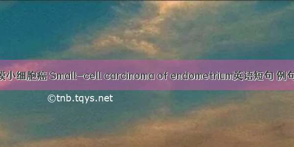 子宫内膜小细胞癌 Small-cell carcinoma of endometrium英语短句 例句大全