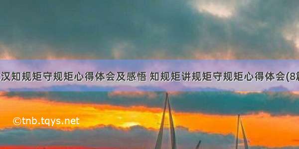 武汉知规矩守规矩心得体会及感悟 知规矩讲规矩守规矩心得体会(8篇)