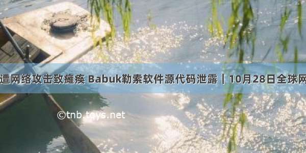 伊朗加油站遭网络攻击致瘫痪 Babuk勒索软件源代码泄露｜10月28日全球网络安全热点