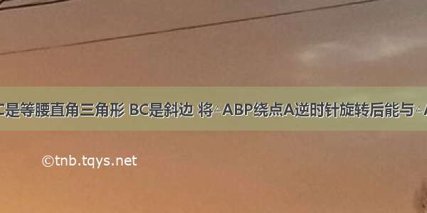 如图 △ABC是等腰直角三角形 BC是斜边 将△ABP绕点A逆时针旋转后能与△ACP1重合．