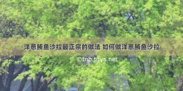 洋葱鲔鱼沙拉最正宗的做法 如何做洋葱鲔鱼沙拉