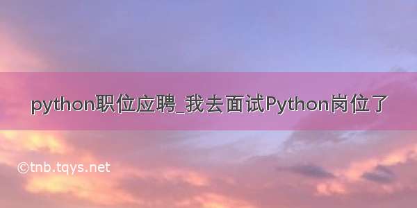 python职位应聘_我去面试Python岗位了