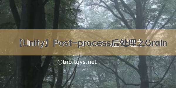 【Unity】Post-process后处理之Grain