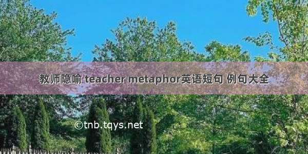 教师隐喻 teacher metaphor英语短句 例句大全