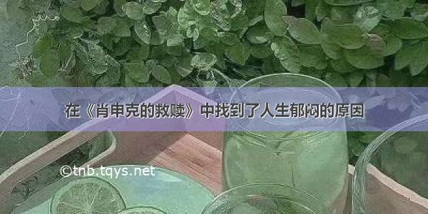 在《肖申克的救赎》中找到了人生郁闷的原因