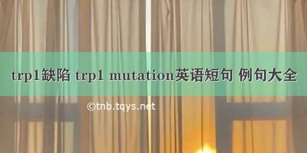 trp1缺陷 trp1 mutation英语短句 例句大全