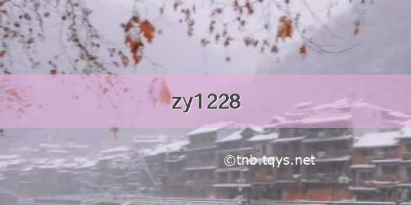 zy1228