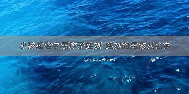 小孩起名字男孩子姓刘 姓刘的男孩儿名字