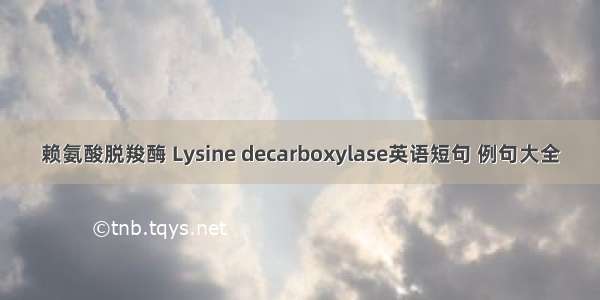 赖氨酸脱羧酶 Lysine decarboxylase英语短句 例句大全