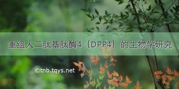 重组人二肽基肽酶4（DPP4）的生物学研究