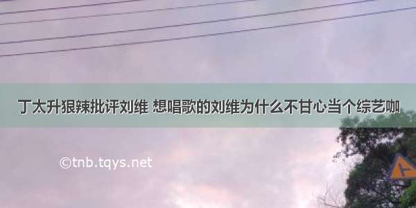 丁太升狠辣批评刘维 想唱歌的刘维为什么不甘心当个综艺咖