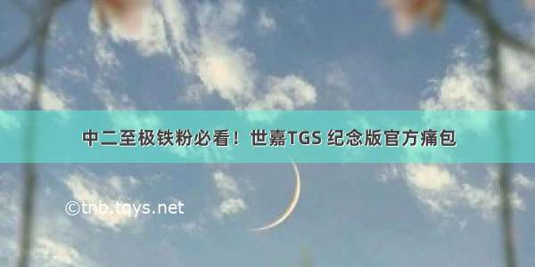 中二至极铁粉必看！世嘉TGS 纪念版官方痛包