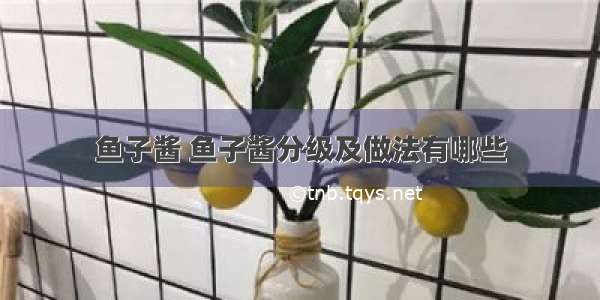 鱼子酱 鱼子酱分级及做法有哪些