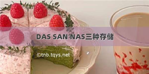 DAS SAN NAS三种存储