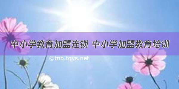 中小学教育加盟连锁 中小学加盟教育培训