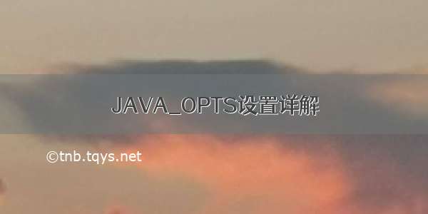 JAVA_OPTS设置详解