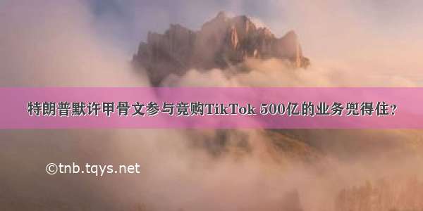 特朗普默许甲骨文参与竞购TikTok 500亿的业务兜得住？