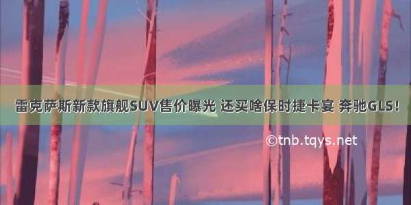 雷克萨斯新款旗舰SUV售价曝光 还买啥保时捷卡宴 奔驰GLS！