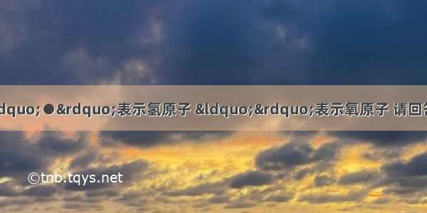 下列分子的示意图中 &ldquo;●&rdquo;表示氢原子 &ldquo;&rdquo;表示氧原子 请回答下列问题：其中表示构