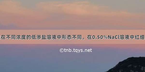 正常人红细胞在不同浓度的低渗盐溶液中形态不同。在0.50%NaCl溶液中红细胞的形态是A.