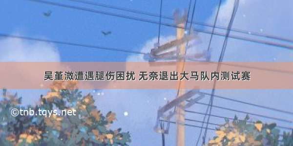 吴堇溦遭遇腿伤困扰 无奈退出大马队内测试赛