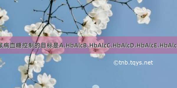 2型糖尿病血糖控制的目标是A.HbAlcB.HbAlcC.HbAlcD.HbAlcE.HbAlcABCDE