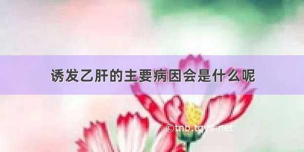 诱发乙肝的主要病因会是什么呢