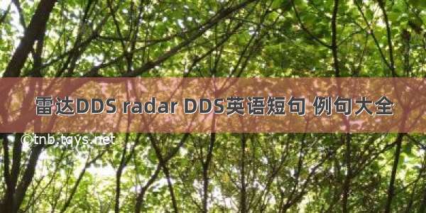 雷达DDS radar DDS英语短句 例句大全