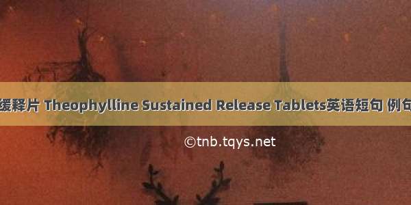 茶碱缓释片 Theophylline Sustained Release Tablets英语短句 例句大全