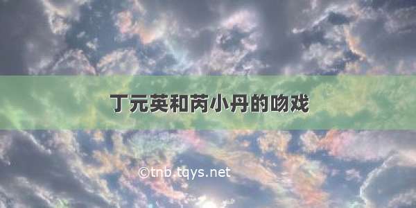 丁元英和芮小丹的吻戏