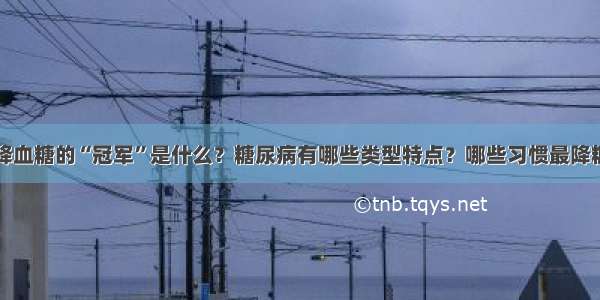 降血糖的“冠军”是什么？糖尿病有哪些类型特点？哪些习惯最降糖