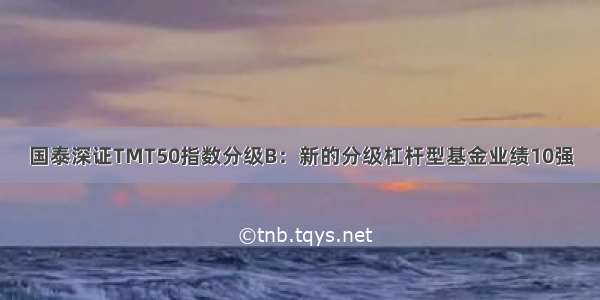 国泰深证TMT50指数分级B：新的分级杠杆型基金业绩10强