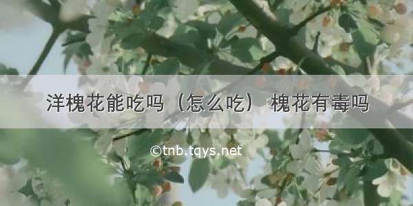 洋槐花能吃吗（怎么吃） 槐花有毒吗