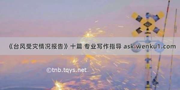 《台风受灾情况报告》十篇 专业写作指导 ask.wenku1.com