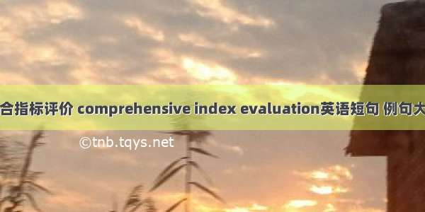 综合指标评价 comprehensive index evaluation英语短句 例句大全