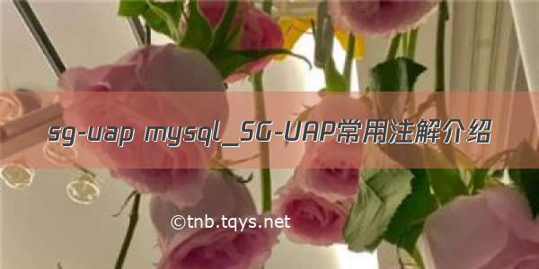 sg-uap mysql_SG-UAP常用注解介绍