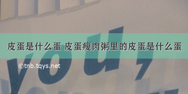 皮蛋是什么蛋 皮蛋瘦肉粥里的皮蛋是什么蛋