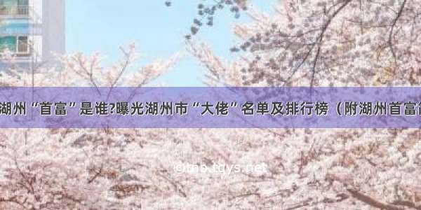 浙江湖州“首富”是谁?曝光湖州市“大佬”名单及排行榜（附湖州首富简介）