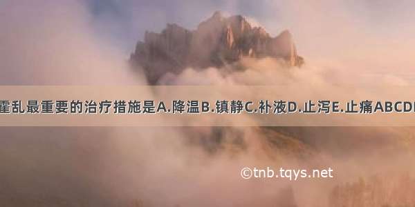 霍乱最重要的治疗措施是A.降温B.镇静C.补液D.止泻E.止痛ABCDE