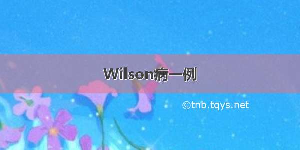 Wilson病一例