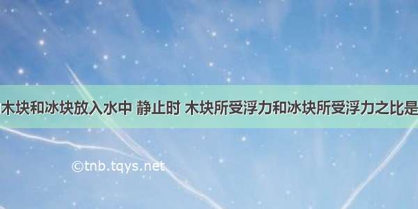 质量相同的木块和冰块放入水中 静止时 木块所受浮力和冰块所受浮力之比是多少．（木