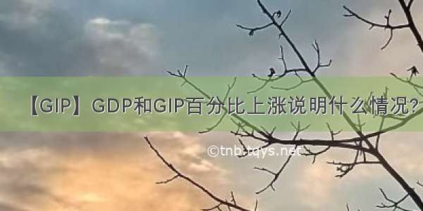 【GIP】GDP和GIP百分比上涨说明什么情况?