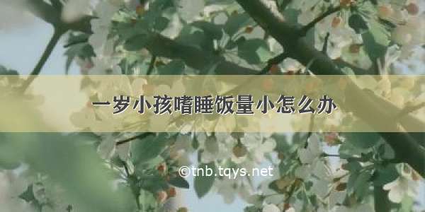 一岁小孩嗜睡饭量小怎么办