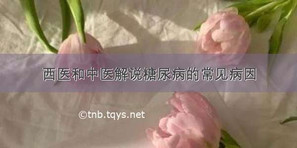 西医和中医解说糖尿病的常见病因