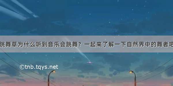 跳舞草为什么听到音乐会跳舞？一起来了解一下自然界中的舞者吧