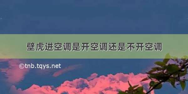 壁虎进空调是开空调还是不开空调