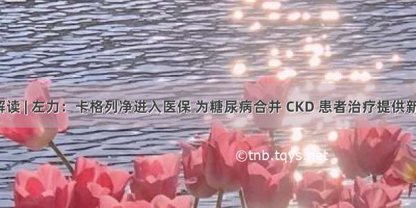 名家解读 | 左力：卡格列净进入医保 为糖尿病合并 CKD 患者治疗提供新武器！